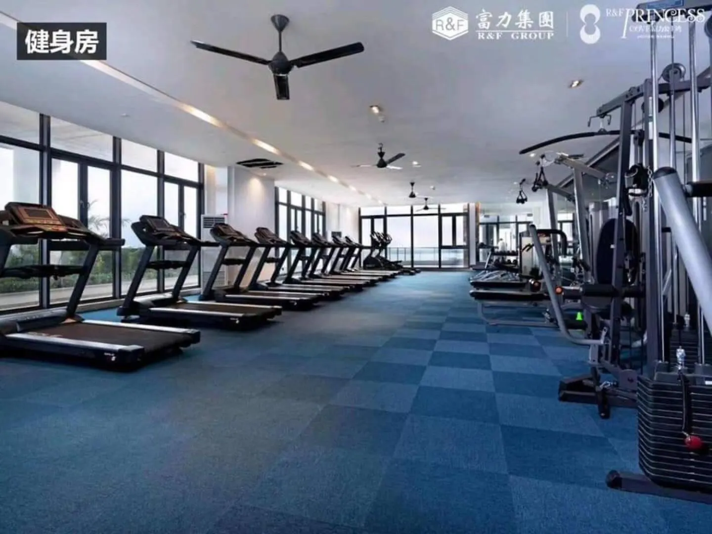 Trex_Home And Hose Mangement Johor Bahru 0*,